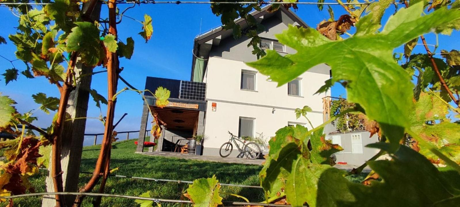 Apartmaji Gracner Dramlje المظهر الخارجي الصورة